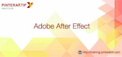 Training Adobe After Effect